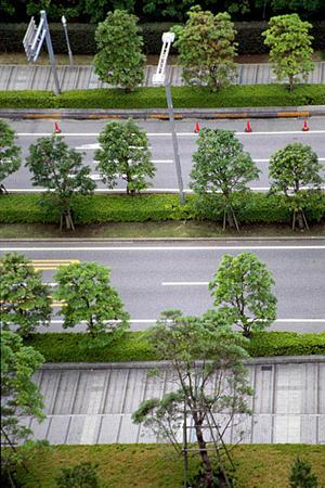 兵庫県のカーラッピングが出来るお店