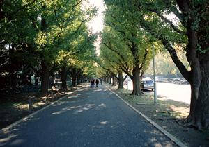 株式会社日産サティオ高知｜高品質な新車・中古車販売とアフターサービスの総合拠点