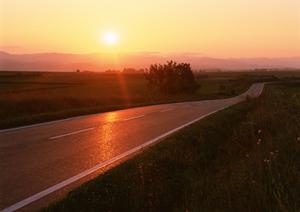 坂戸市で車検を行っているのはプロの集団