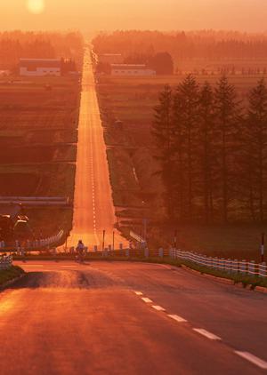 オンライン見積もり可の車検専門店