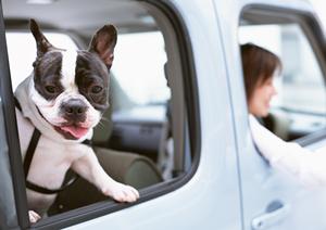 名古屋市で信頼できる車検業者を見つけるための完全ガイド！費用とサービスを徹底比較