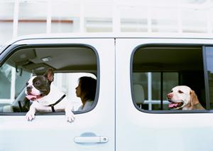 GT-R買取は専門の中古車買取業者へ